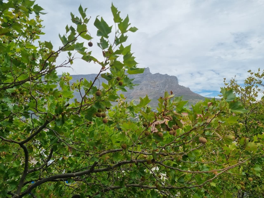 To Let 2 Bedroom Property for Rent in Tamboerskloof Western Cape